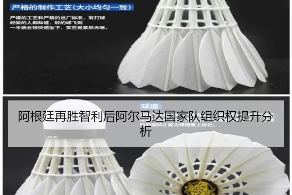 a-gen-ting-zai-sheng-zhi-li-hou-a-er-ma-da-guo-jia-dui-zu-zhi-quan-ti-sheng-fen-xi-2-573.jpg